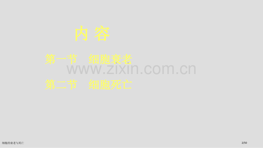 细胞的衰老与死亡.pptx_第2页