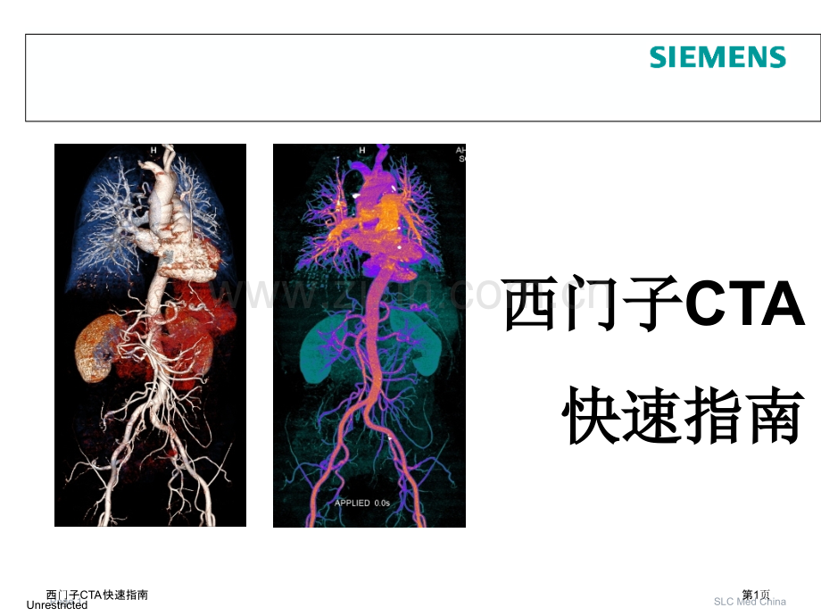 西门子CTA快速指南专家讲座.pptx_第1页