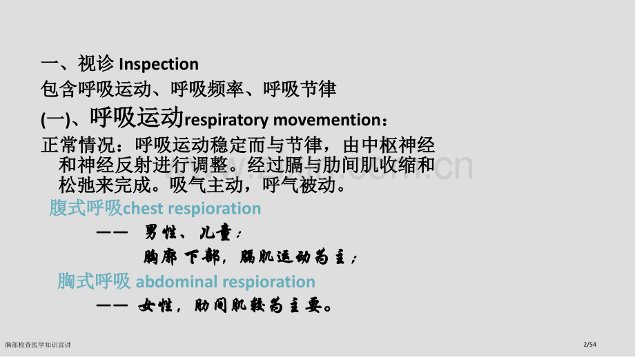 胸部检查医学知识宣讲.pptx_第2页