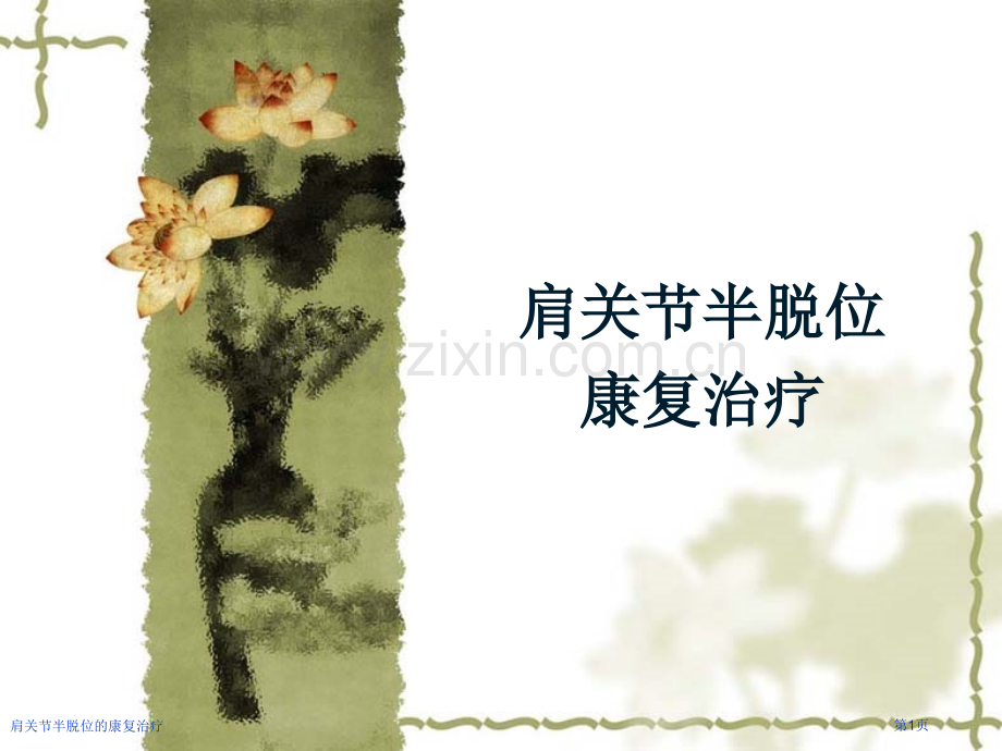 肩关节半脱位的康复治疗专家讲座.pptx_第1页