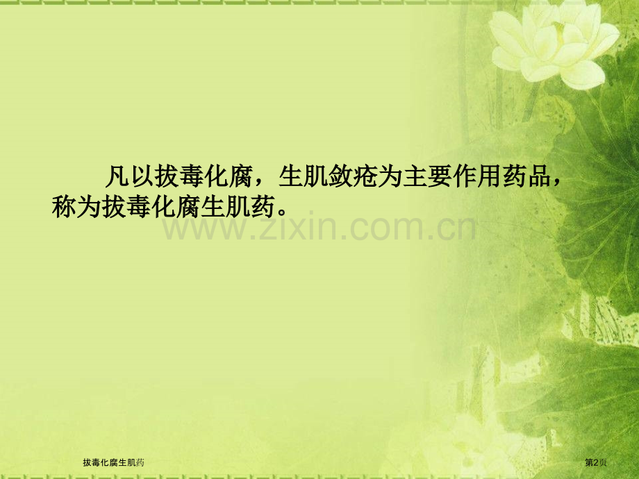拔毒化腐生肌药专家讲座.pptx_第2页
