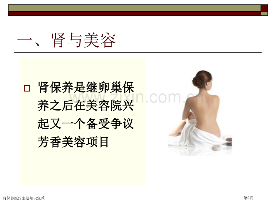 肾保养医疗主题知识宣教.pptx_第2页