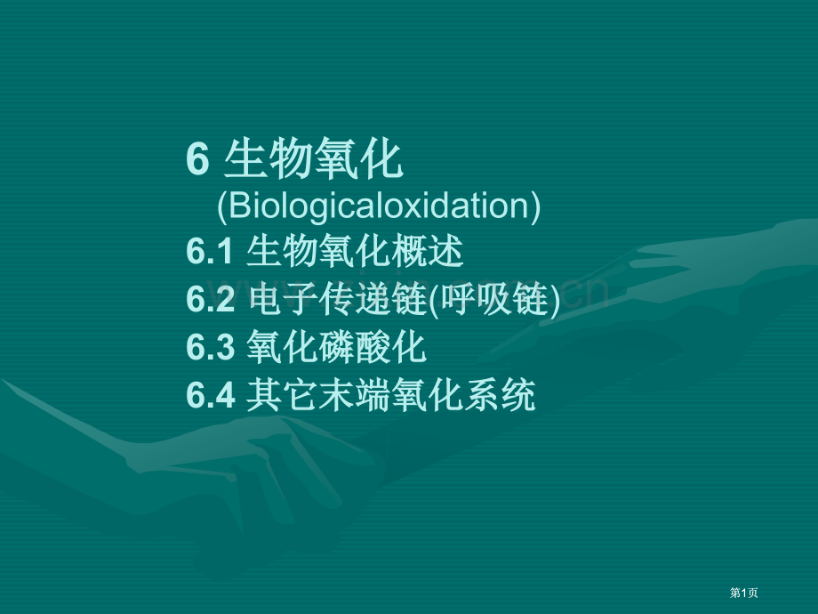 生物氧化课件市公开课金奖市赛课一等奖课件.pptx_第1页