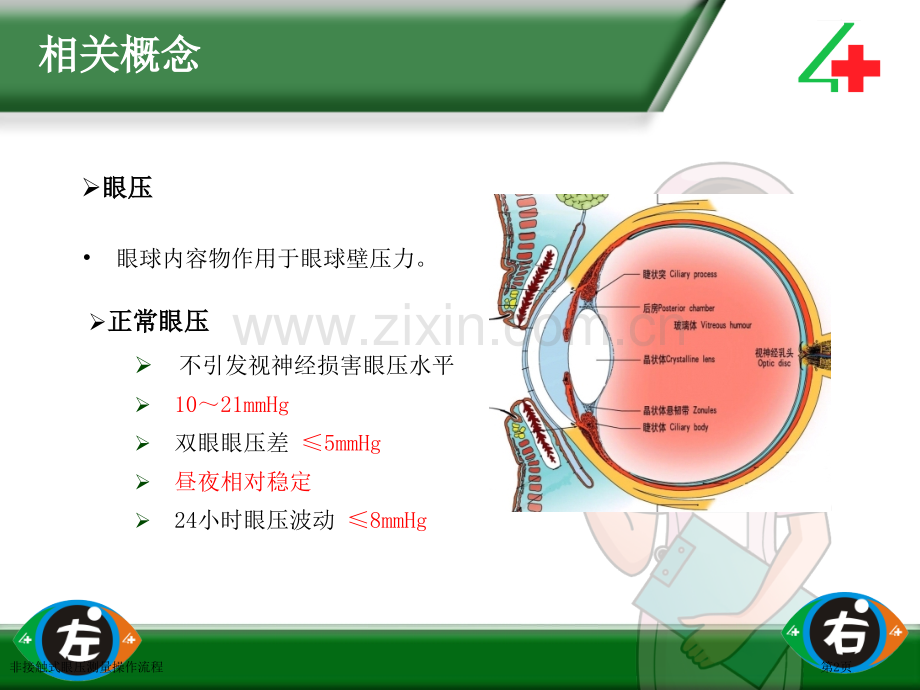 非接触式眼压测量操作流程.pptx_第2页