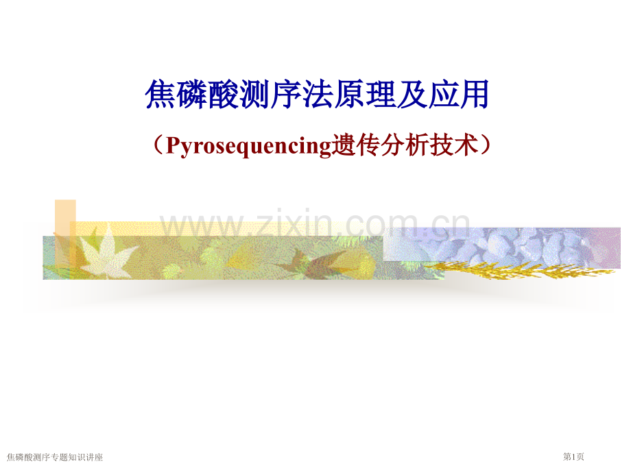 焦磷酸测序专题知识讲座专家讲座.pptx_第1页