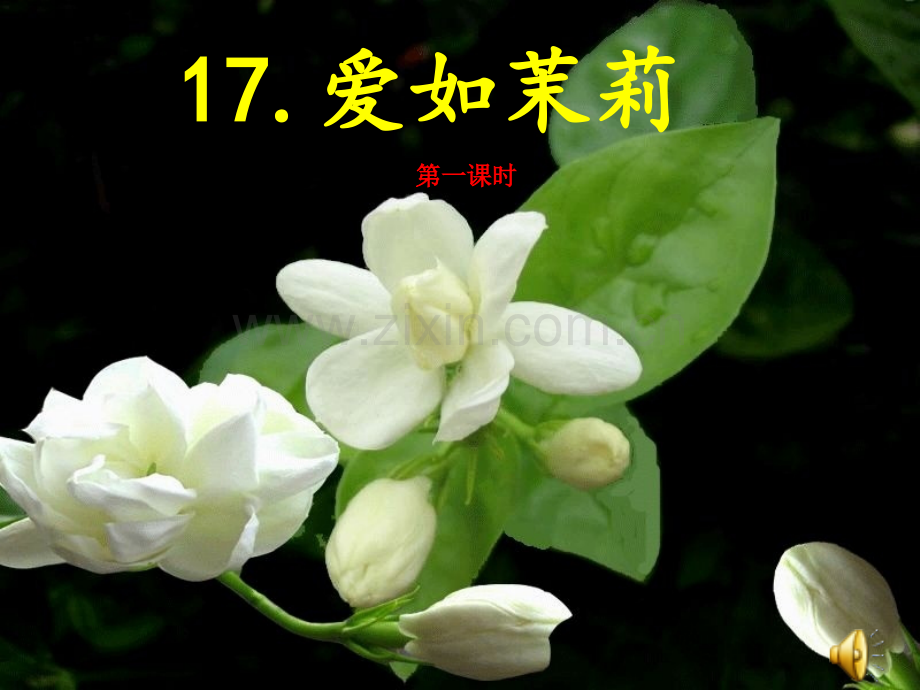 17爱如茉莉优秀.pptx_第2页