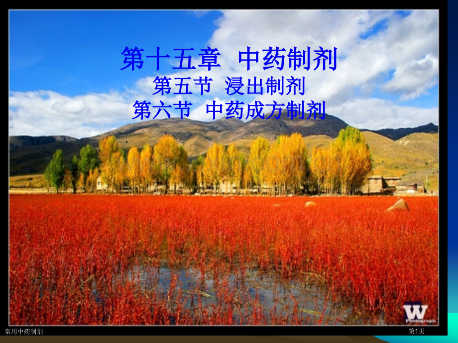 常用中药制剂.pptx_第1页
