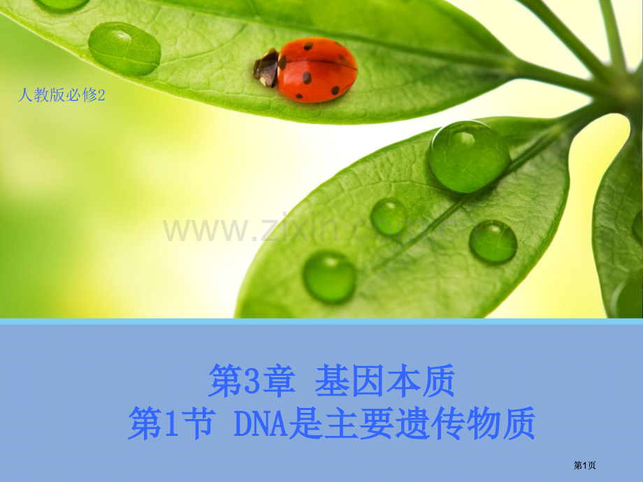生物DNA是主要的遗传物质人教版必修公开课一等奖优质课大赛微课获奖课件.pptx_第1页