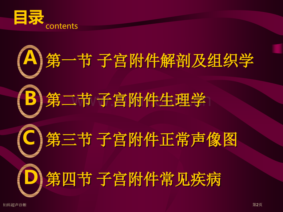 妇科超声诊断.pptx_第2页