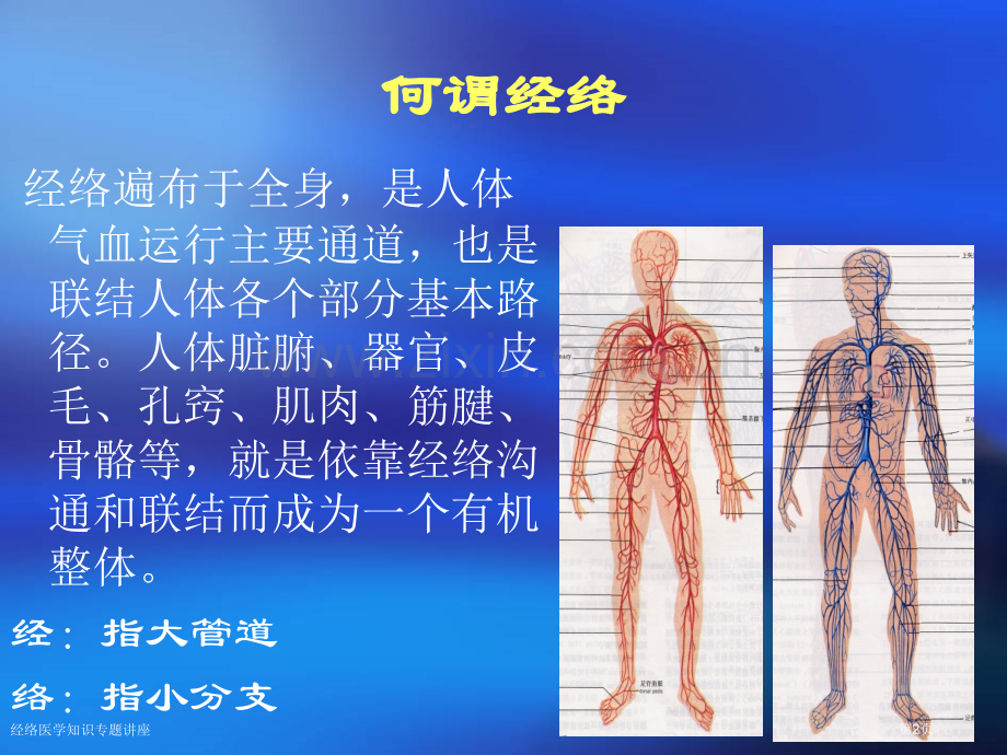经络医学知识专题讲座专家讲座.pptx_第2页