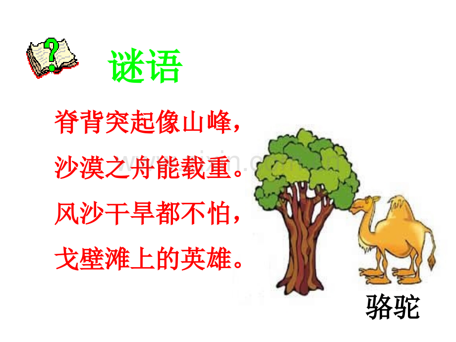 16找骆驼.pptx_第1页