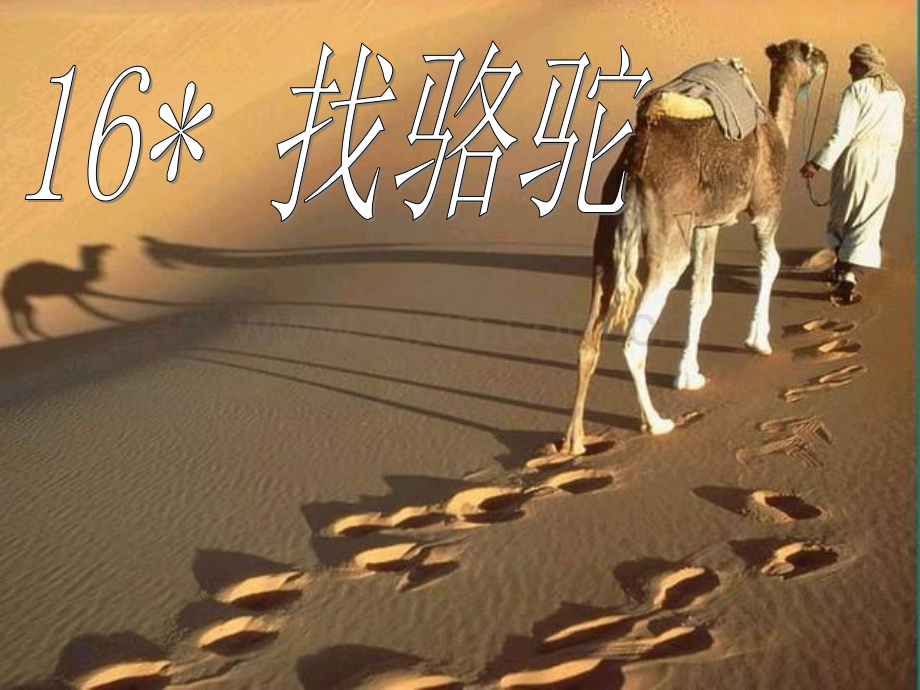 16找骆驼.pptx_第2页