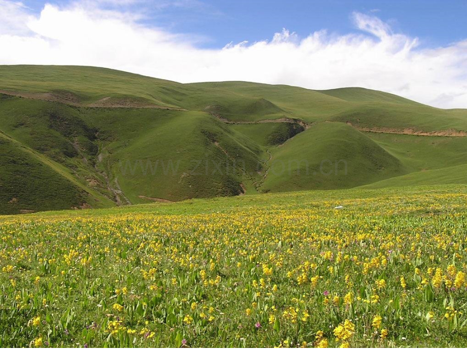 -把铁路修到拉萨去精简完美.pptx_第2页