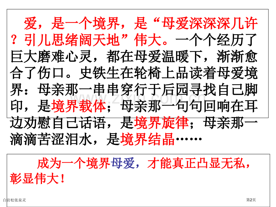 白岩松张泉灵专家讲座.pptx_第2页