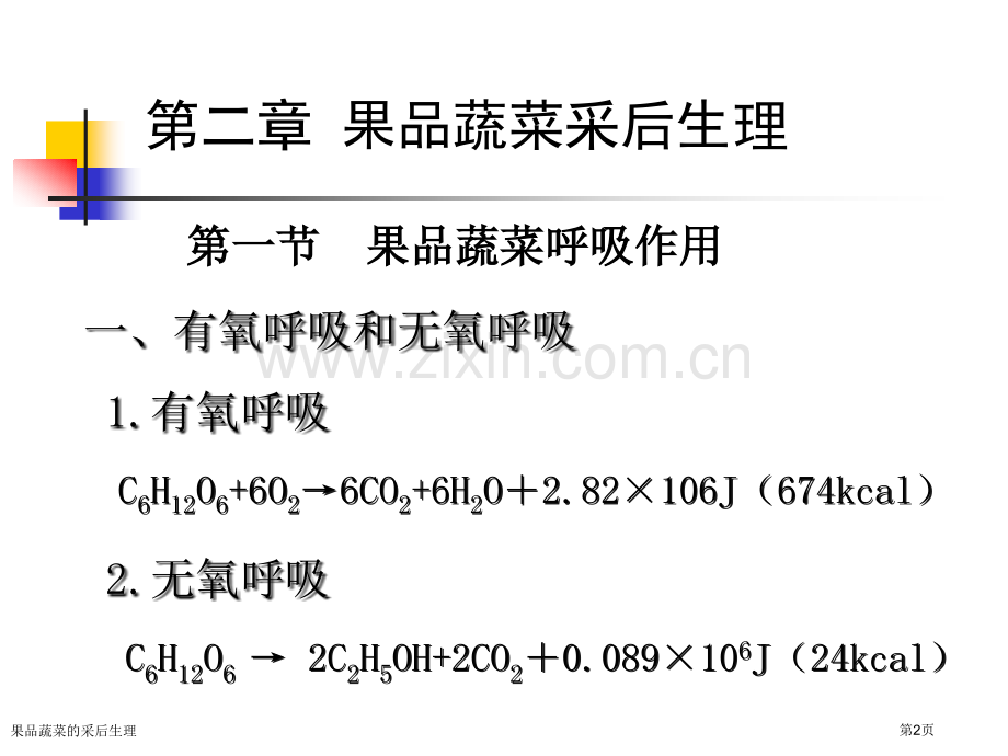 果品蔬菜的采后生理专家讲座.pptx_第2页