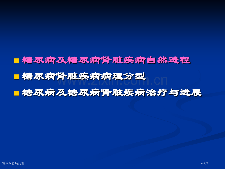 糖尿病肾病病理专家讲座.pptx_第2页