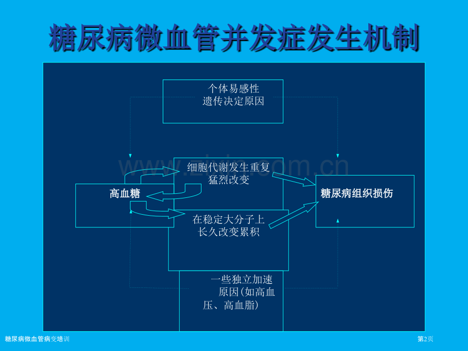糖尿病微血管病变培训专家讲座.pptx_第2页