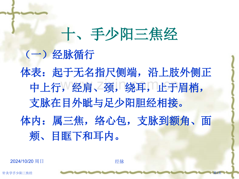 针灸学手少阳三焦经专家讲座.pptx_第1页