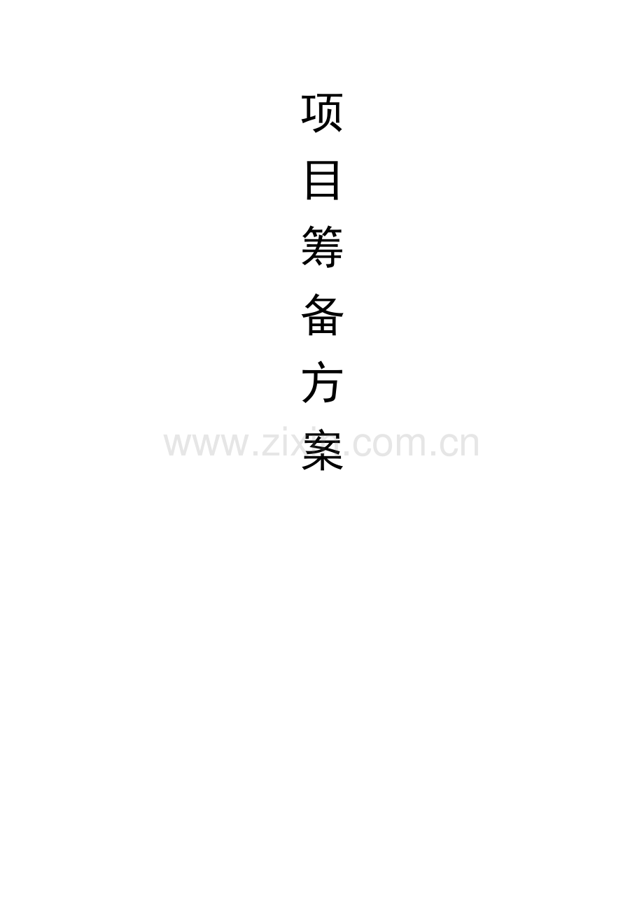 项目筹备方案.doc_第1页