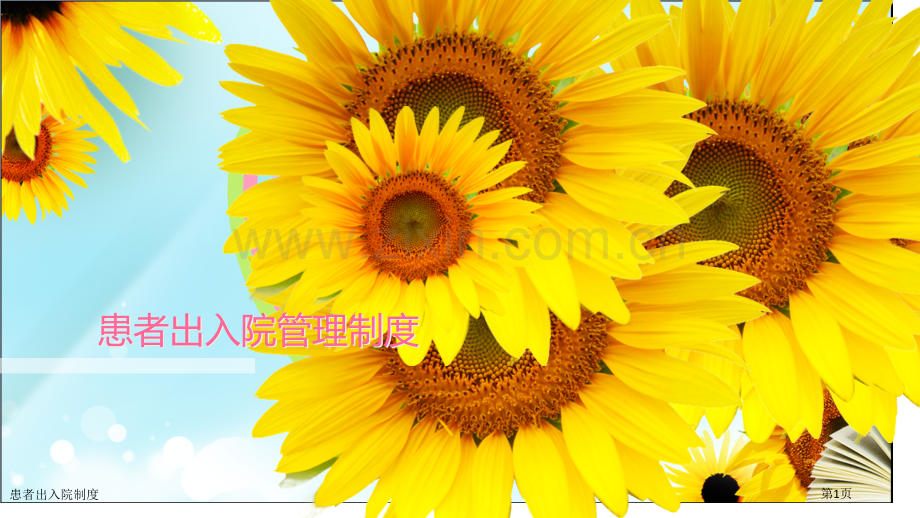 患者出入院制度.pptx_第1页