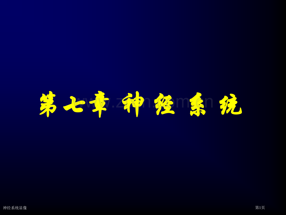 神经系统显像专家讲座.pptx_第1页