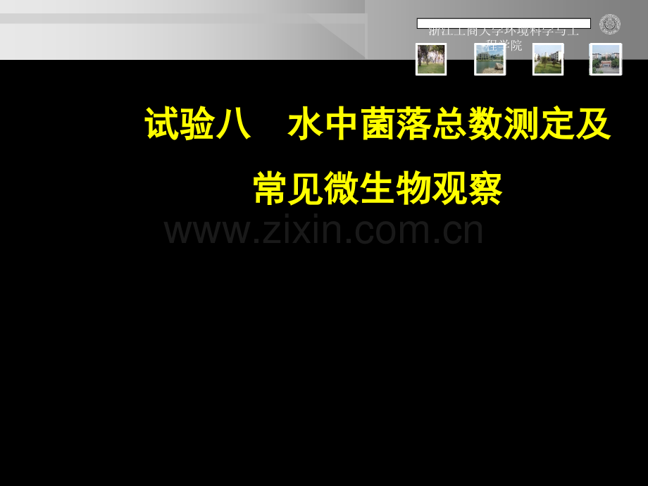 水中菌落总数的测定及常见微生物观察.pptx_第1页