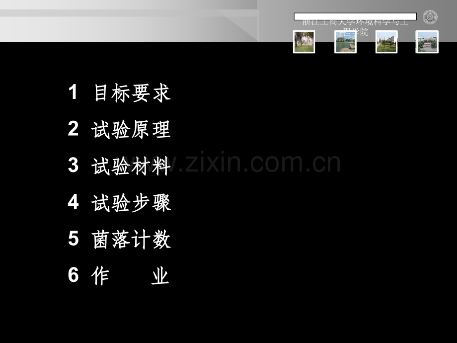 水中菌落总数的测定及常见微生物观察.pptx_第2页