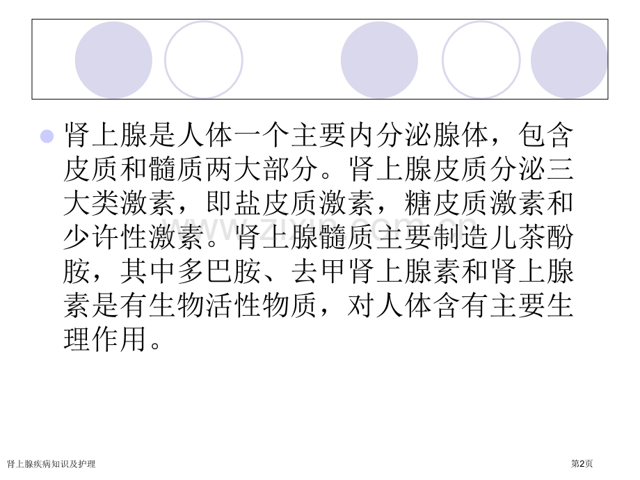 肾上腺疾病知识及护理专家讲座.pptx_第2页