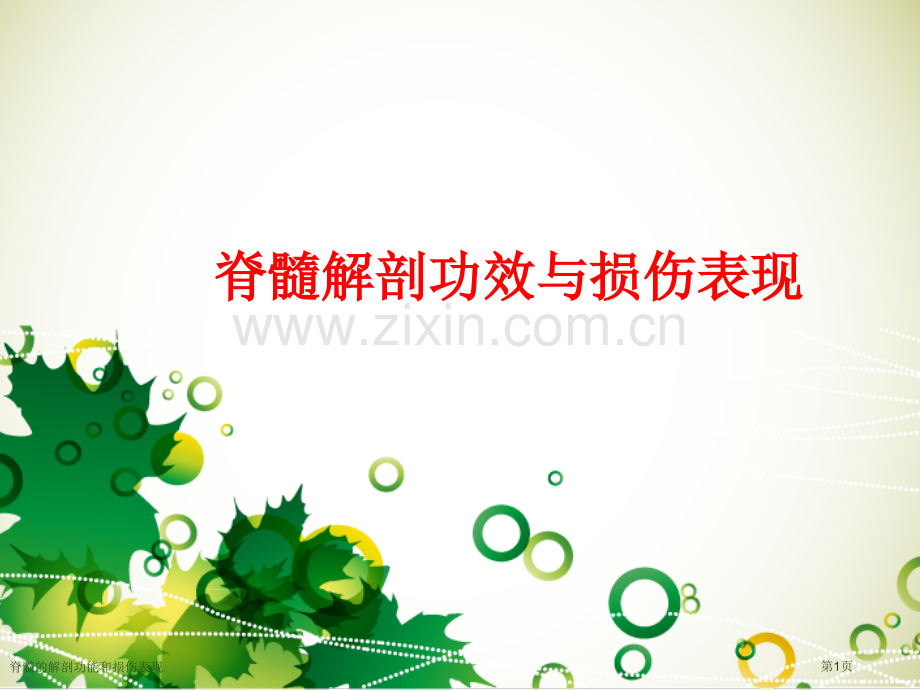 脊髓的解剖功能和损伤表现.pptx_第1页
