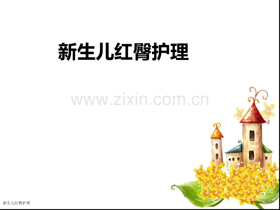 新生儿红臀护理.pptx_第1页