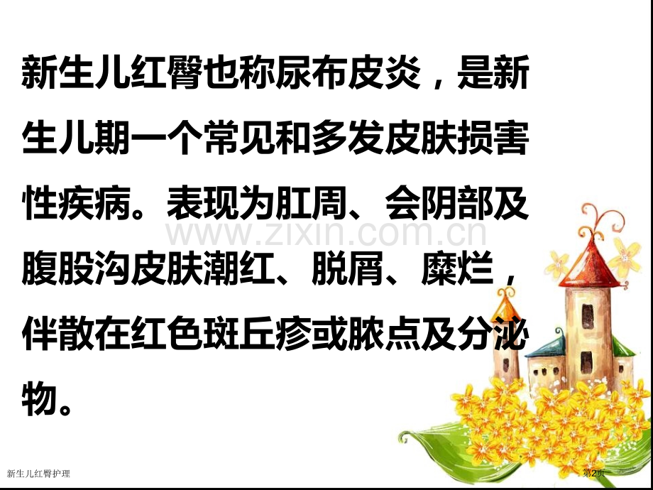 新生儿红臀护理.pptx_第2页