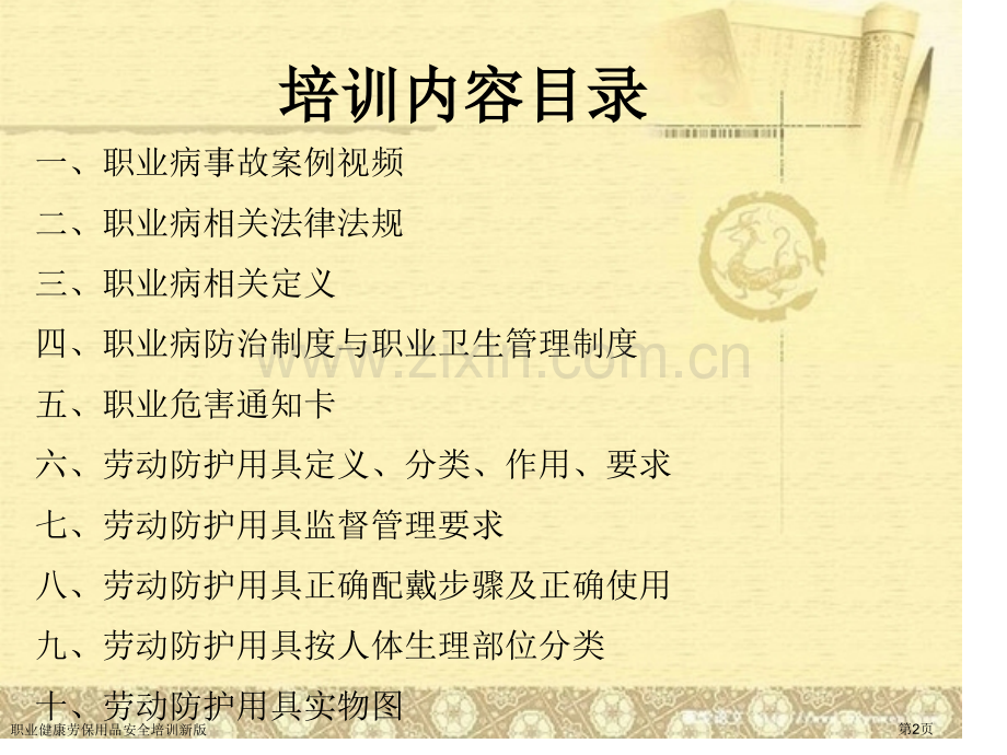 职业健康劳保用品安全培训新版专家讲座.pptx_第2页