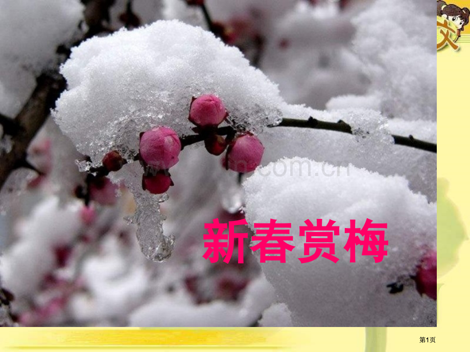 湘教版三年级上册新春赏梅课件市公开课金奖市赛课一等奖课件.pptx_第1页