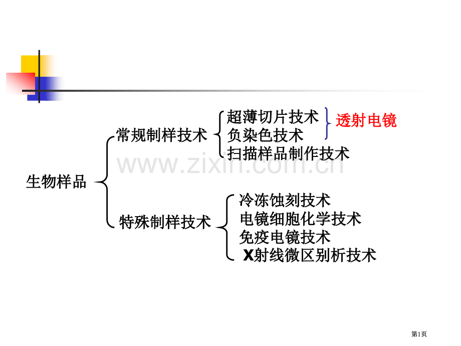 生物样品超薄切片技术公开课一等奖优质课大赛微课获奖课件.pptx_第1页