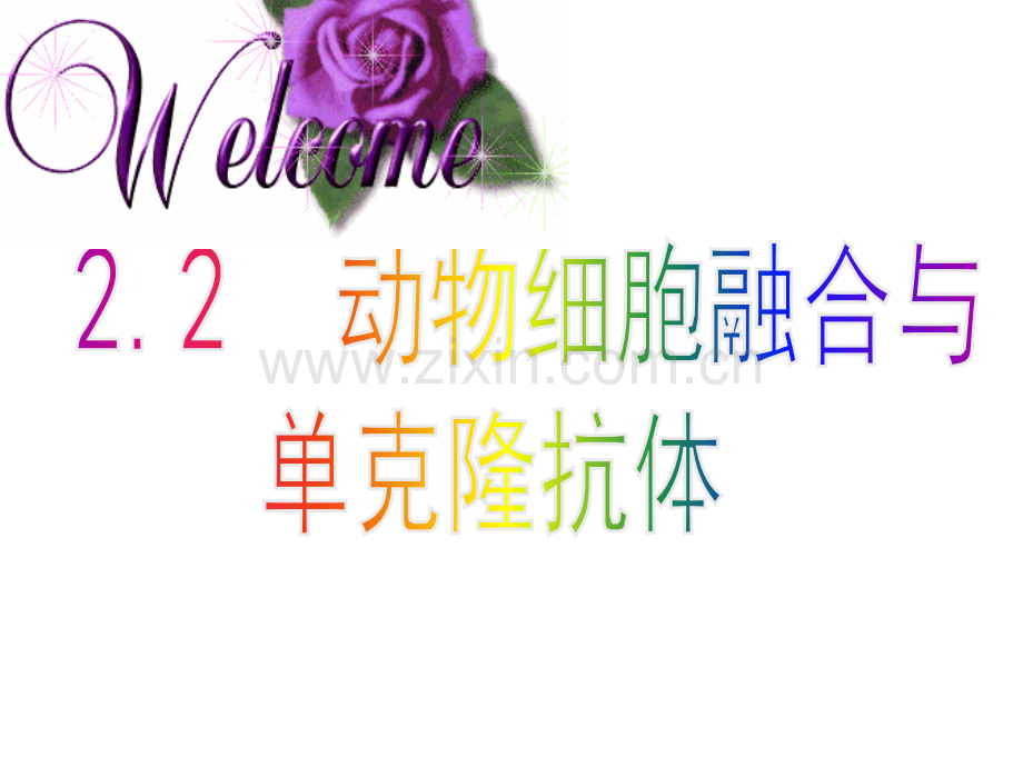 2014人教版高中生物选修三专题二222动物细胞融合与单克隆抗体38张.pptx_第1页