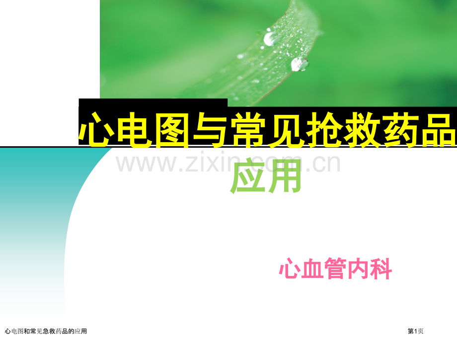 心电图和常见急救药品的应用专家讲座.pptx_第1页