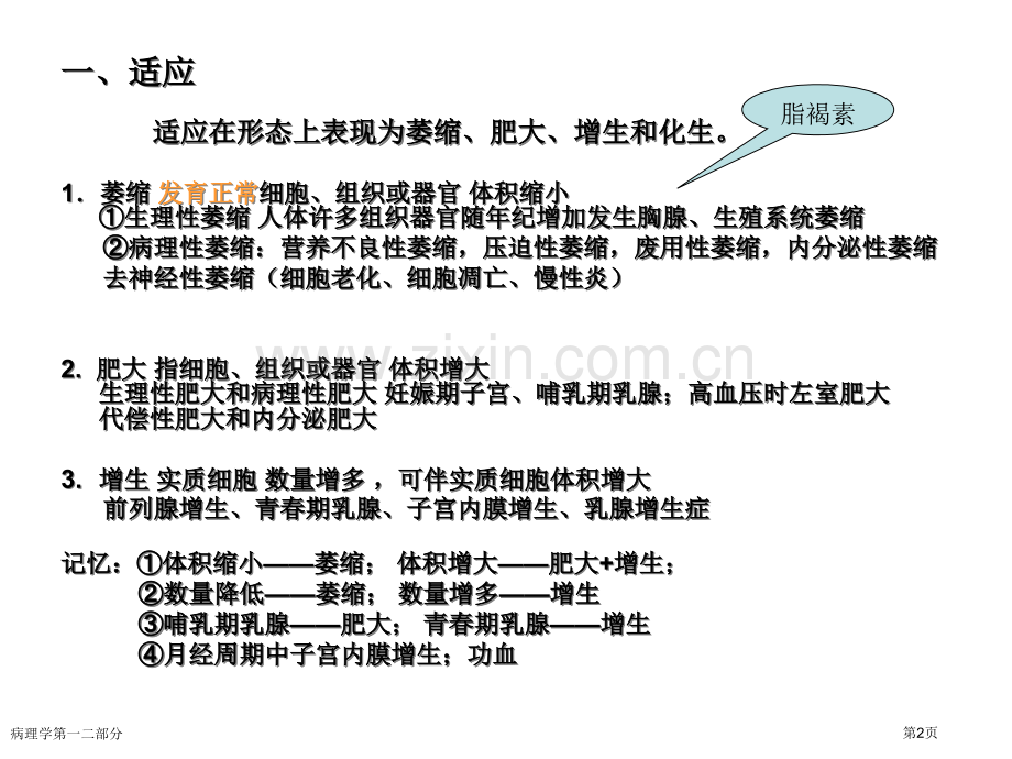 病理学第一二部分.pptx_第2页