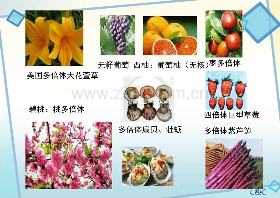 多倍体和单倍体育种公开课一等奖优质课大赛微课获奖课件.pptx_第2页