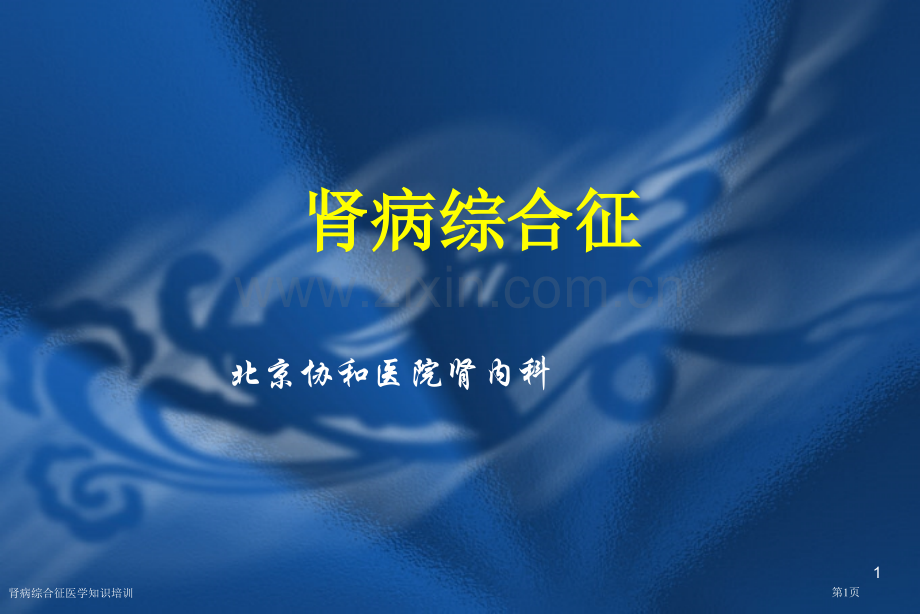 肾病综合征医学知识培训专家讲座.pptx_第1页