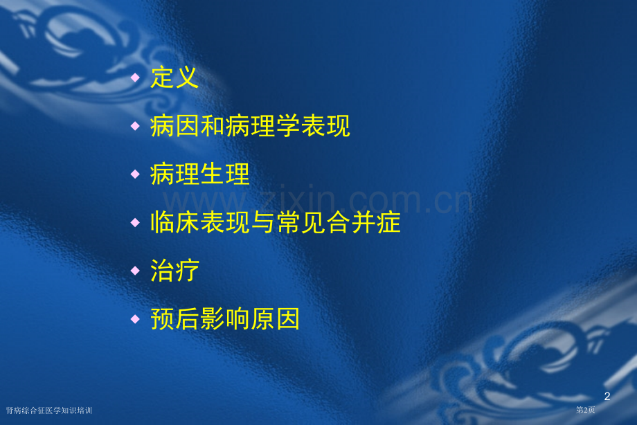 肾病综合征医学知识培训专家讲座.pptx_第2页