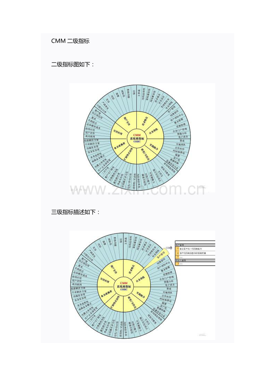 能力成熟度评估模型体系.doc_第2页
