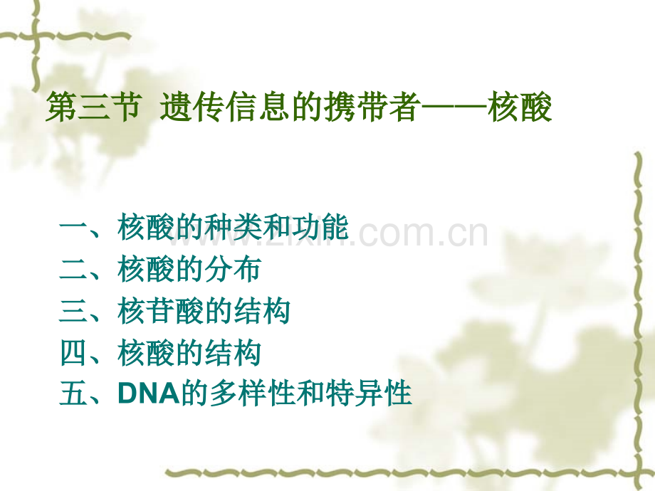 23遗传信息的携带者——核酸优质课.pptx_第2页