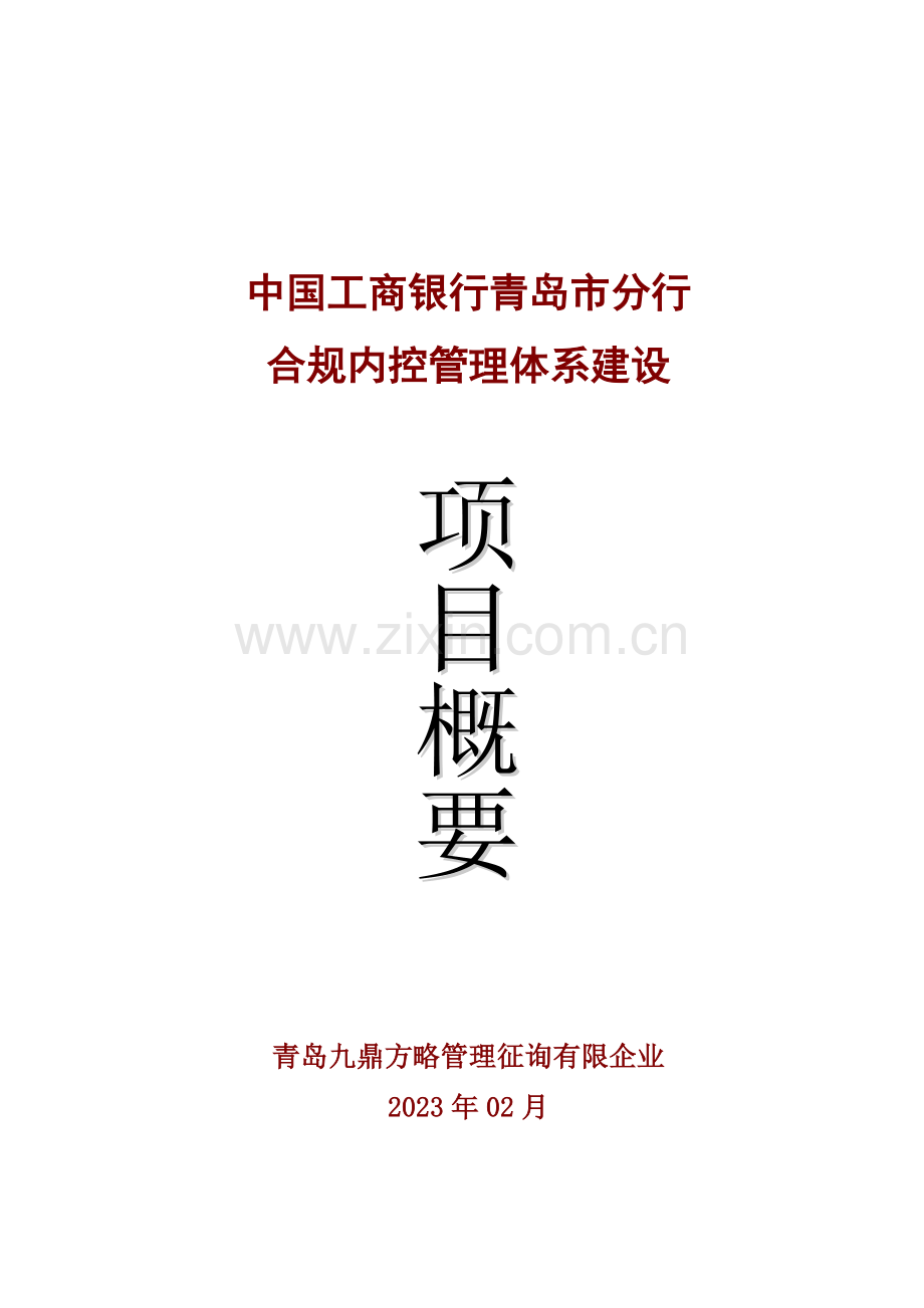 银行内控项目概要.doc_第1页