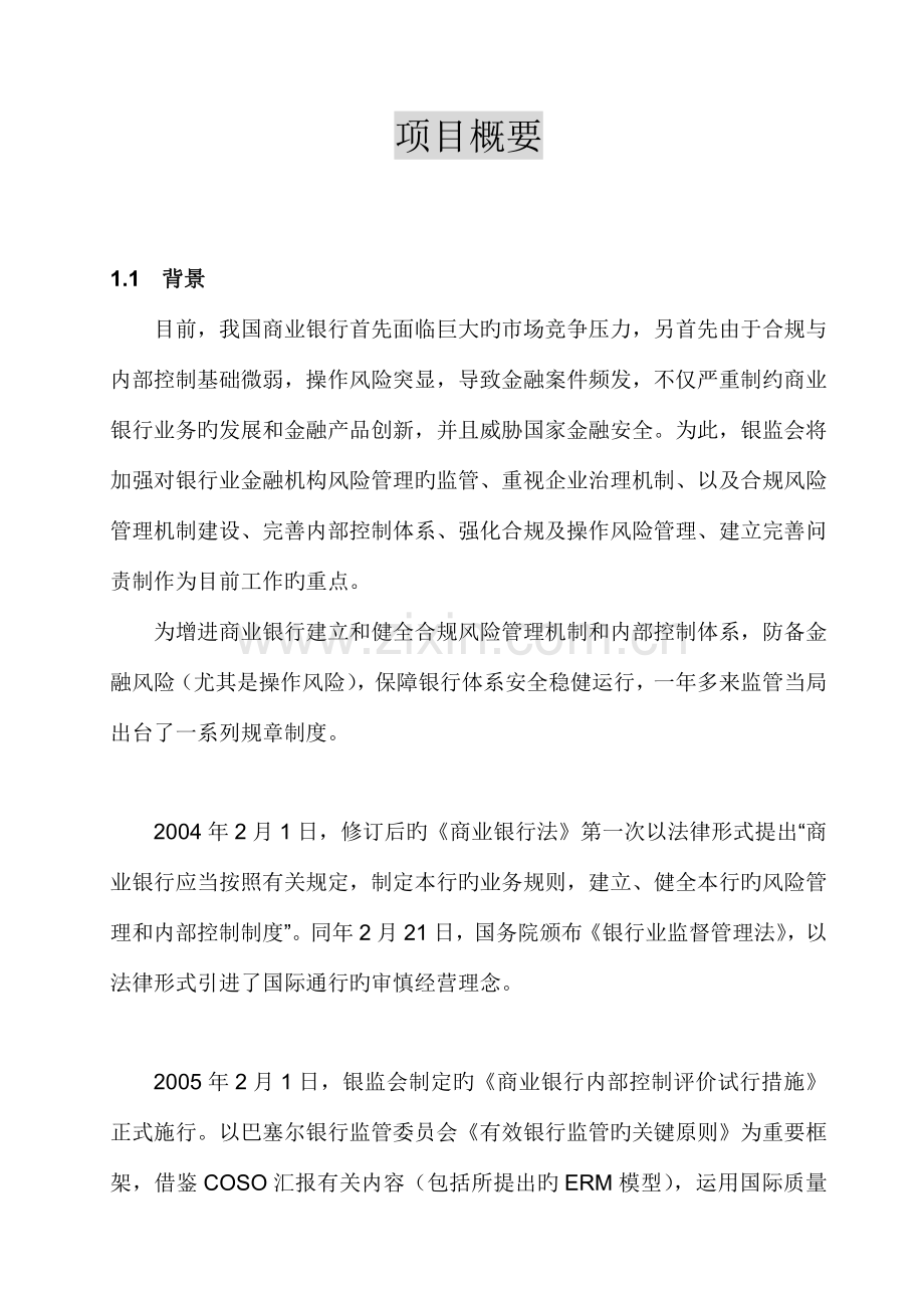 银行内控项目概要.doc_第2页