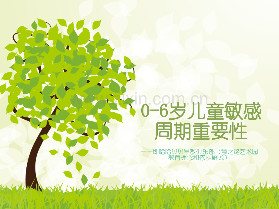 0-6岁儿童敏感周期与大脑发展规律.pptx_第1页