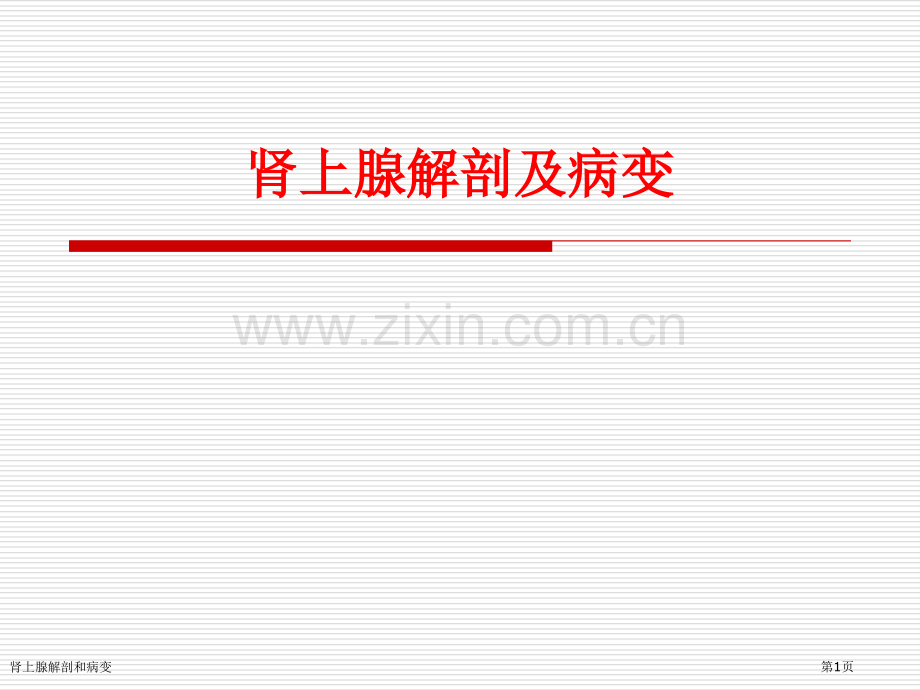 肾上腺解剖和病变.pptx_第1页