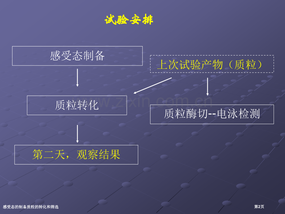 感受态的制备质粒的转化和筛选专家讲座.pptx_第2页