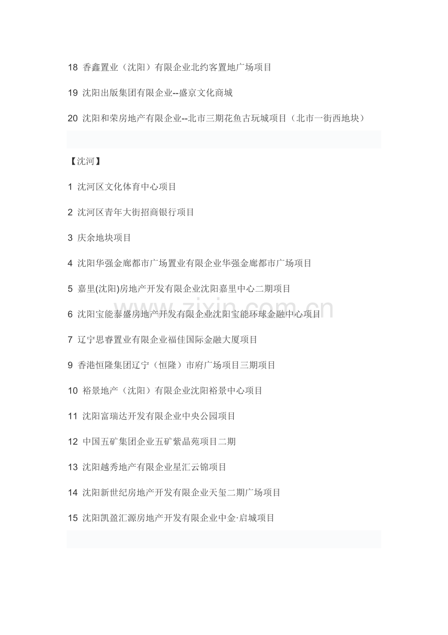 沈阳重点项目.docx_第2页