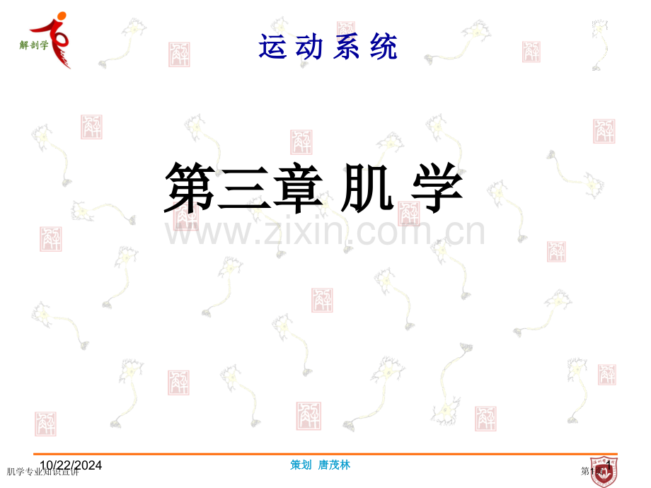 肌学专业知识宣讲专家讲座.pptx_第1页