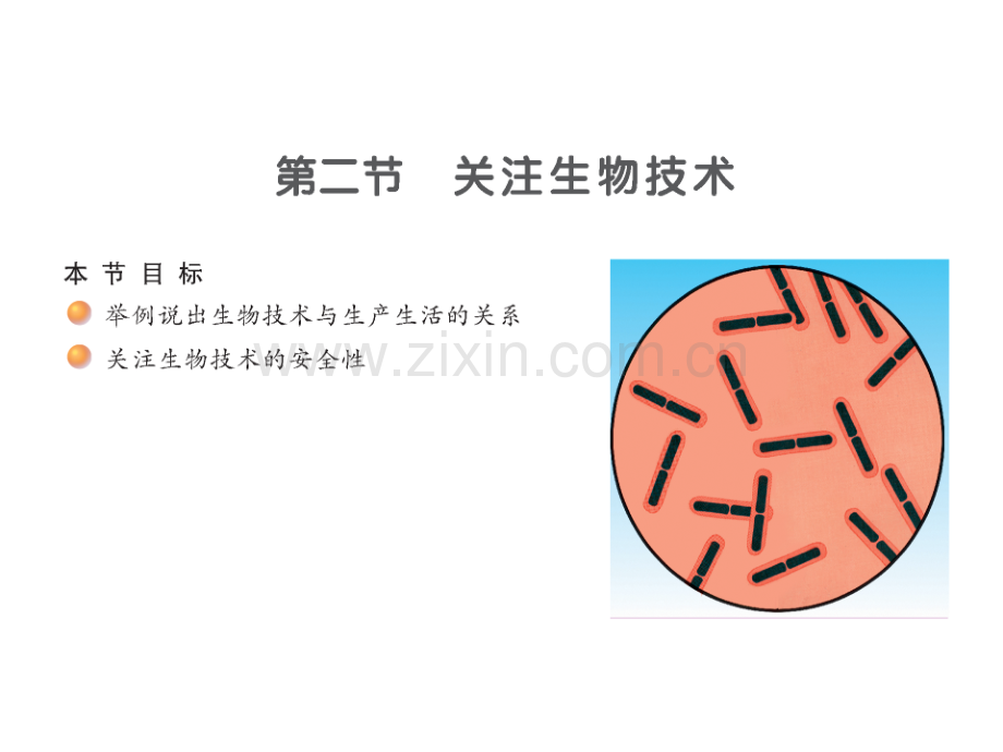 2016春苏教版生物八下242关注生物技术.pptx_第1页